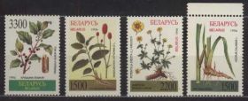 Флора Флора ^/--/^ Флора Цветы 1996 Білорусь Беларусь ** ^_^^^ Флора Цветы 1996 Беларусь Беларусь Беларусь Беларусь ** - фото фото фото