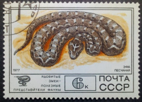СРСР - СССР - ^/--/^ СССР 1977 Фауна, змеи, Эфа песчаная, гашеная ^_^^^ СРСР 1977 Фауна, змії, Ефа піщана, гашена - фото фото фото