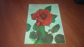 Інше Другое ^/--/^ ДМПК Поздоровляю 1985 Щербакова чистая ^_^^^ ДМПК Вітаю 1985 Щербакова чиста - фото фото фото
