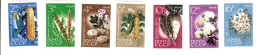 СРСР - СССР - ^/--/^ ZM  СССР 1964 г MNH - флора - б/з ^_^^^ ZM СРСР 1964 р MNH - флора - б/з - фото фото фото