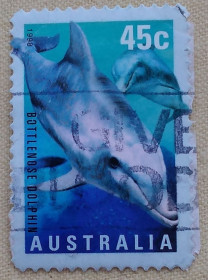 Фауна Фауна ^/--/^ Австралия 1998 г - афалина  (Bottlenose Dolphin), гаш ^_^^^ Австралія 1998 — афаліна (Bottlenose Dolphin), гаш - фото фото фото