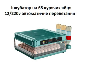 Інкубатори Инкубаторы ^/--/^ Інкубатор на 68 курячих яйця з автоматичним перевертанням.   12/220 v ^_^^^ Инкубатор на 68 куриных яйца с автоматическим переворачиванием. 12/220 v - фото фото фото