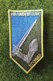 Інше Другое ^/--/^ Шеврон 117 окрема механізована бригада з девізом Per Ignem Et Gladio № 3598 ^_^^^ Шеврон 117 отдельная механизированная бригада с девизом Per Ignem Et Gladio No 3598 - фото фото фото