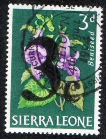 Сьєрра-Леоне Сьерра-Леоне ^/--/^ Сьерра-Леоне (1964) Денежная реформа. Надпечатка. Цветы. Спецгашение ^_^^^ Сьєрра-Леоне (1964) Грошова реформа. Надпечатка. Квіти. Спецпогашення - фото фото фото