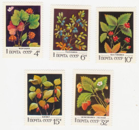 СРСР - СССР - ^/--/^ СССР 1982 г. № 4952‑4956 ** серия ^_^^^ СРСР 1982 р. No 4952‐4956 ** серія - фото фото фото