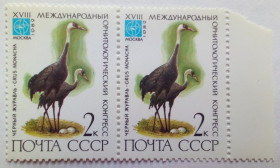 СРСР - СССР - ^/--/^ СССР 1982 Птицы, черный журавль, сцепка, MNH ^_^^^ СРСР 1982 Птахи, чорний журавель, зчіпка, MNH - фото фото фото