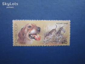 Фауна Фауна ^/--/^ Марка СРСР 1988 полювання фауна собака гончак російський MNH ^_^^^ Марка СССР 1988 охота фауна собака гончак российский MNH - фото фото фото