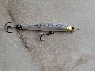Воблери, принади Воблеры, приманки ^/--/^ Воблер Jackall Bros Siera Minnow 55 /--/ S Shirasu  ( Япония ) ^_^^^ Воблер Jackall Bros Siera Minnow 55 /--/ S Shirasu (Японія) - фото фото фото