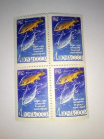 СРСР - СССР - ^/--/^ СССР 1962 г. РЫБЫ. САЗАН И ЛЕЩ (4 коп), квартблок, Сол. 2732, чистые, с клеем, без наклеек. (3) ^_^^^ СРСР 1962 р. Риби. САЗАН І ЛЕЩ (4 коп), квартблок, Сол. 2732, чисті, з клеєм, без наклейок. (3) - фото фото фото