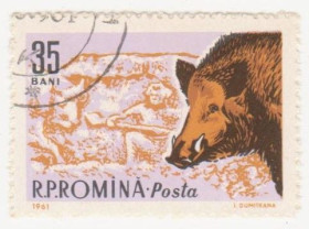 Румунія Румыния ^/--/^ Румыния 1961 г №  1997 гашеная ^_^^^ Румунія 1961 р. No 1997 гашена - фото фото фото