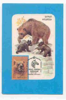 Календарі Календари ^/--/^ СССР  1990 Календарик  Флора Фауна  Бурый медведь ^_^^^ 1990 — Календарик Флора Фауна Бурий ведмідь - фото фото фото