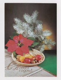СРСР СССР ^/--/^ С НОВЫМ ГОДОМ  1989 г.  КИНДРОВА  чистая  ^_^^^ З Новим роком 1989 р. Кіндрова чиста - фото фото фото