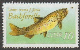НДР, ФРН ГДР, ФРГ ^/--/^ Германия Німеччина ГДР 1987 фауна рыбы без года выпуска разновидность ^_^^^ Германия ГДР 1987 фауна рыбы без года выпуска разновидность - фото фото фото