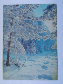 СРСР СССР ^/--/^ Открытка СССР. 1982 г. С НОВЫМ ГОДОМ ! Фото ДЕЙКИНА. &amp;quot;Планета&amp;quot;,  г.Москва, двойная ^_^^^ Листівка СРСР. 1982. Фото Дейкіна. &amp;quot;Планета &amp;quot; м. Москва, подвійна - фото фото фото