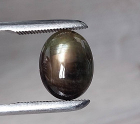 Сапфір Сапфир ^/--/^ Звездчатый сапфир черный  9.97  Ct  14.2 х 11.1 х 5.5 mm ^_^^^ Зірчастий сапфір чорний 9.97 Ct 14.2 х 11.1 х 5.5 mm - фото фото фото