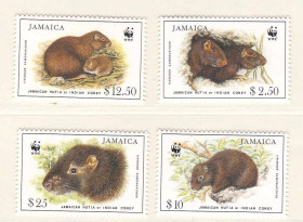 Фауна Фауна ^/--/^ Фауна .  Ямайка 1996 г   MNH - грызуны - ^_^^^ Ямайка 1996 MNH - гризуни - фото фото фото