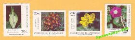 Флора Флора ^/--/^ САЛЬВАДОР 1986 ФЛОРА Цветы Природа 4 /--/ м. Гашен. ^_^^^ Сальвадор 1986 Флора Квіти Природа 4 м. Гашен. - фото фото фото