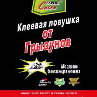 Інші предмети для дачі Другие предметы для дачи ^/--/^ Ловушка от КРЫС и МЫШЕЙ клеевая! Уже не убегут!!! ^_^^^ Пастка від КРИС і МИШЕЙ клеєва! Вже не тікають!!! - фото фото фото