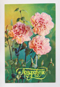 СРСР СССР ^/--/^ ПОЗДРАВЛЯЮ   1980  г.  КОСТЕНКО   чистая  ^_^^^ Вітаю 1980 р. КОСТЕНКО чиста - фото фото фото