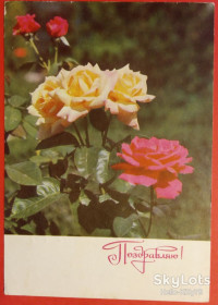 СРСР СССР ^/--/^ СССР 1969 флора цветы ХМПК Зак. 15046 подписанная ^_^^^ СРСР 1969 флора квіти ХМПК Зак. 15046 підписана - фото фото фото