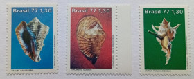 Південна Америка Южная Америка ^/--/^ Бразилия 1977 Моллюски, MNH ^_^^^ Бразилія 1977 Моллюски, MNH - фото фото фото
