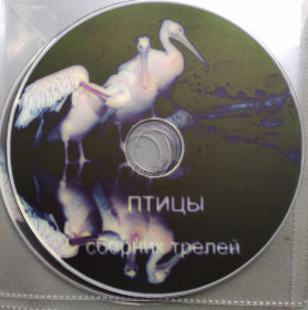 Музичні диски Музыкальные диски ^/--/^ Птицы, сборник трелей ^_^^^ Птахи, збірка трелей - фото фото фото