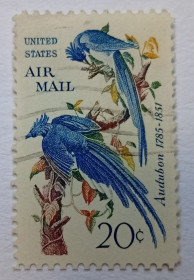 Північна Америка Северная Америка ^/--/^ США 1963 Сойки, птицы, гашеная (III) ^_^^^ США 1963 Сойки, птахи, гашена (III) - фото фото фото