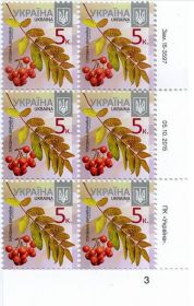 Після  року После  года ^/--/^ Стандарт 0,05 грн. Зам.15-3597     (2,3) 05.10.2015 ПН ^_^^^ Стандарт 0,05 грн. Зам.15-3597 (2,3) 05.10.2015 НН - фото фото фото