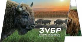 Інше Другое ^/--/^ Монета НБУ 5 гривень Чорнобиль. Відродження. Зубр у сувенірному пакованні ^_^^^ Монета НБУ 5 гривен Чернобыль. Возрождение. Зубр в сувенирном упаковке - фото фото фото