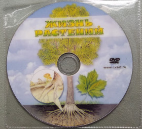 Наукове / Документальне кіно Научное / Документальное кино ^/--/^ Жизнь растений ^_^^^ Життя рослин - фото фото фото