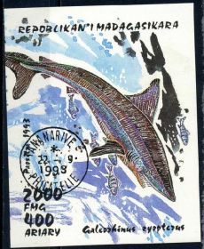 Фауна Фауна ^/--/^ Мадагаскар. Рыбы (блок) 1993 г. ^_^^^ Мадагаскар. Риби (блок) 1993 - фото фото фото