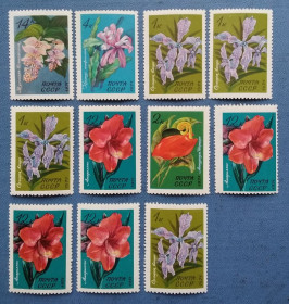 Флора Флора ^/--/^ СССР 1971 г - Флора тропиков и субтропиков, 11 шт, НЕГАШ ^_^^^ СРСР 1971 р - Флора тропіків і субтропіків, 11 шт, Негаш - фото фото фото