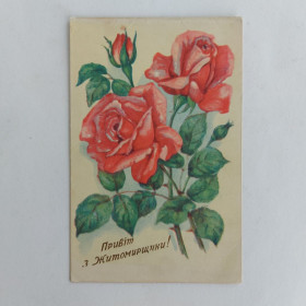 СРСР СССР ^/--/^ Листівка Привіт з Житомирщини ^_^^^ Листовка Привет из Житомирщины - фото фото фото