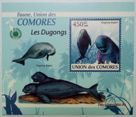 Комори Коморы ^/--/^ Коморские острова, Коморы 2009 Дюгонь, морская фауна, блок, MNH  (КЦ=11 евро) (III) ^_^^^ Коморські острови, Комори 2009 Дюгонь, морська фауна, блок, MNH (КЦ = 11 євро) (III) - фото фото фото