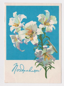 СРСР СССР ^/--/^ ПОЗДРАВЛЯЮ  1962 г.  СТЕПАНОВА  чистая  ^_^^^ ВІТАЮ 1962 СТЕПАНОВА ЧИСТА - фото фото фото
