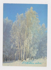 СРСР СССР ^/--/^ С НОВЫМ ГОДОМ  ДМПК 1988 г.  БОГДАНОВ  чистая  ^_^^^ З Новим роком ДМПК 1988 Богданов чистий - фото фото фото