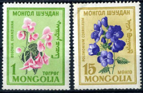 Флора Флора ^/--/^ Монголия. Цветы. (концовка)* 1960 г. ^_^^^ Монголія. Квіти. (кінцівка) * 1960 - фото фото фото