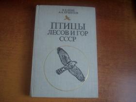 Видання - р. Издания - гг. ^/--/^ Беме, Кузнецов. Птицы лесов и гор СССР. Полевой опредилитель. 2-е издание. Просвещение 1981 ^_^^^ Беме, Кузнєцов. Птахи лісів і гір СРСР. Польовий опредилитель. 2-е видання. Просвіта 1981 - фото фото фото