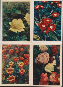 СРСР СССР ^/--/^ РОЗЫ - ГВОЗДИКИ - ТЮЛЬПАНЫ  ЦВЕТЫ  1957, 1963, 1964, 1965 г.  Изд. ПРАВДА  чистые  7 шт.  ^_^^^ РОЗИ - ГВОЗДИКИ - ТЮЛЬПАНИ ЦВЕТИ 1957, 1963, 1964, 1965 Вид. ПРАВДА чисті 7 шт. - фото фото фото