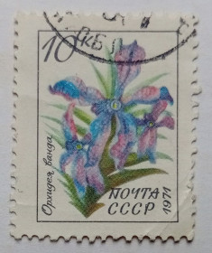 СРСР - СССР - ^/--/^ СССР 1971 Орхидея, гашеная ^_^^^ СРСР 1971 Орхідея, гашена - фото фото фото