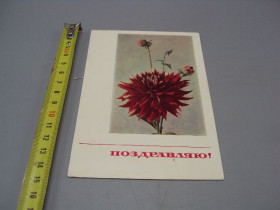 СРСР СССР ^/--/^ Открытка Поздравляю! цветы фото Матанова 1967 год от комсомольцев с. Правдивка Ярмолинцы №17998 ^_^^^ Вітаю! квіти фото Матанова 1967 рік від комсомольців с. Правдивка Ярмолинці No /--/ 17998 - фото фото фото