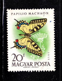Фауна Фауна ^/--/^ Фауна . Венгрия  MNH - ^_^^^ Фауна . Угорщина MNH - - фото фото фото