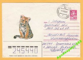 Фауна Фауна ^/--/^ ФАУНА СССР ХМК Животные КОШКИ Тигр Природа Лот №12 ^_^^^ ФАУНА СРСР ХМК Тварини КОШКИ Тигр Природа Лот No /--/ 12 - фото фото фото
