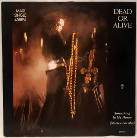 Платівки Пластинки ^/--/^ Dead Or Alive - Something In My House - 1986.   (EP). 12. Vinyl. Пластинка. Holland. ^_^^^ Dead Or Alive — Something In My House (1986) (EP). 12. Vinyl. Платівка. Holland. - фото фото фото