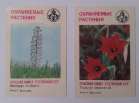 Календарі Календари ^/--/^ Календарик. Красная книга Узбекской ССР. 1987 г. ^_^^^ Календарик. Червона книга Узбецької РСР. 1987 р. - фото фото фото