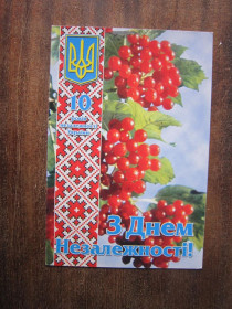Україна Украина ^/--/^ З Днем Незалежності України. 10 років ^_^^^ С Днем Независимости Украины. 10 лет - фото фото фото