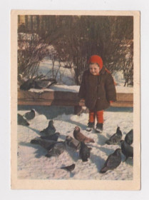 СРСР СССР ^/--/^ ДРУЗЬЯ  ДЕТИ - ГОЛУБИ  1956 г.  САНЬКО  чистая  тираж 350 тыс. ^_^^^ ДІТИ - ГОЛУБИ 1956 р. САНЬКО чистий тираж 350 тис. - фото фото фото