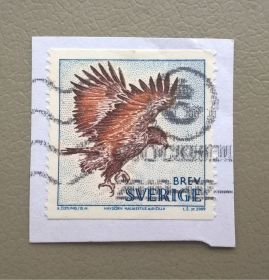 Фауна Фауна ^/--/^ Швеция Фауна 2009 ^_^^^ Швеція Фауна 2009 - фото фото фото