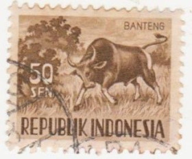Індонезія Индонезия ^/--/^ Индонезия   1956 г.№  211 гашеная ^_^^^ 1956 р. No 211 гашена - фото фото фото