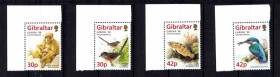 Фауна Фауна ^/--/^ NM Фауна  Гибралтар 1999 г MNH - серия ^_^^^ NM Фауна Гібралтар 1999 MNH - серія - фото фото фото